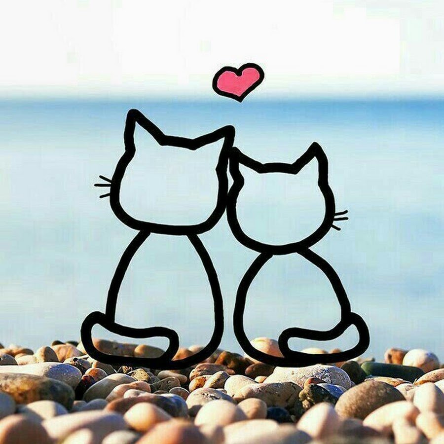 Картинки на заставку ватсап