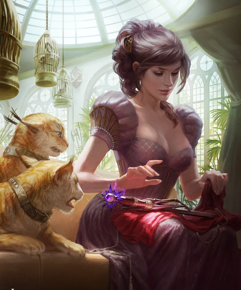 Графиня Елизавета Батори арт