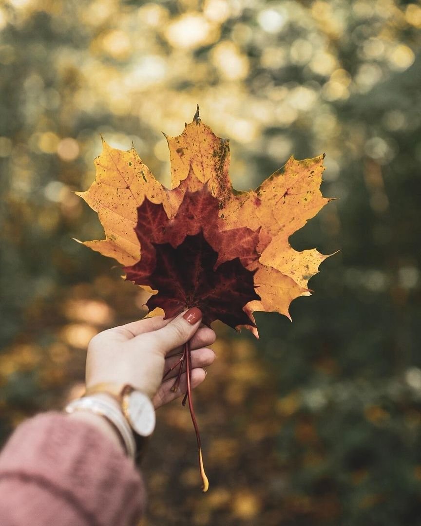 Осенний аватар