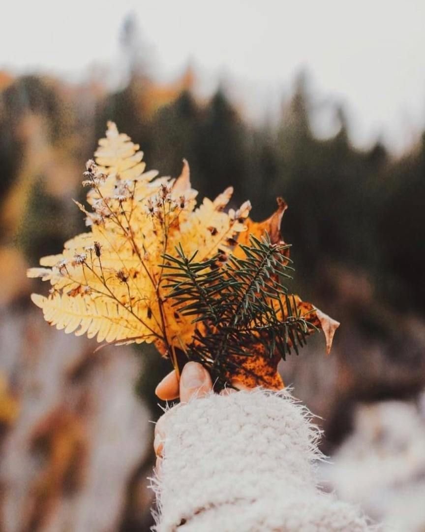 Осень Эстетика