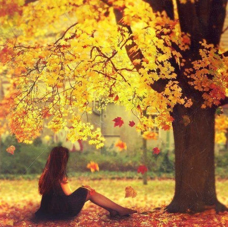 Осень на аву для девушек