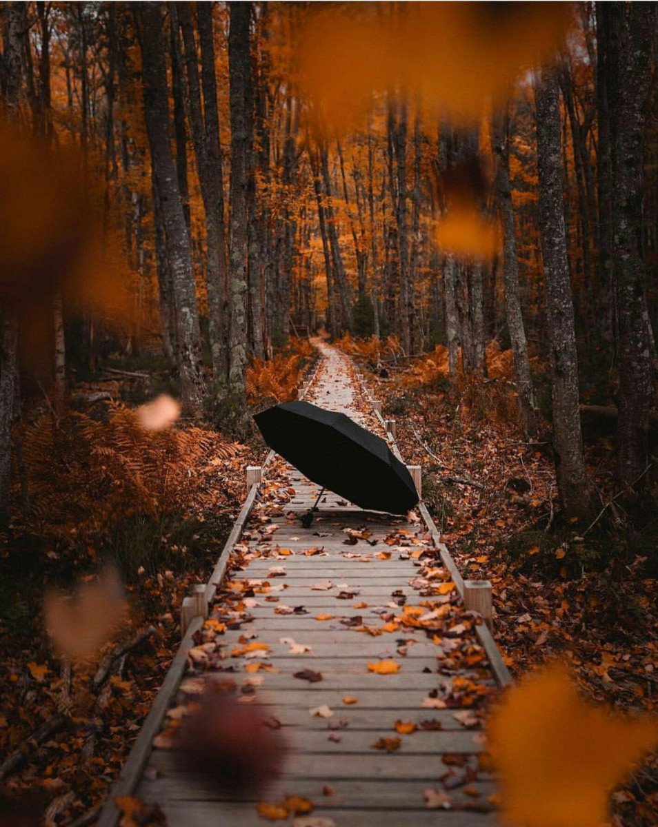 Осенняя грусть