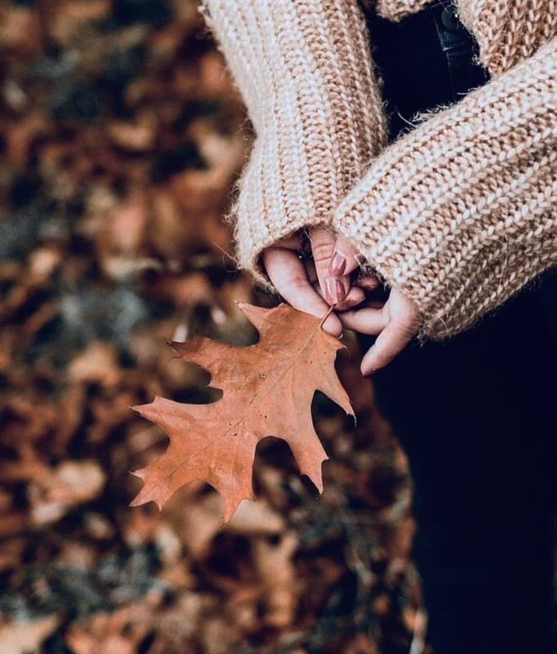 Осень на аву для девушек