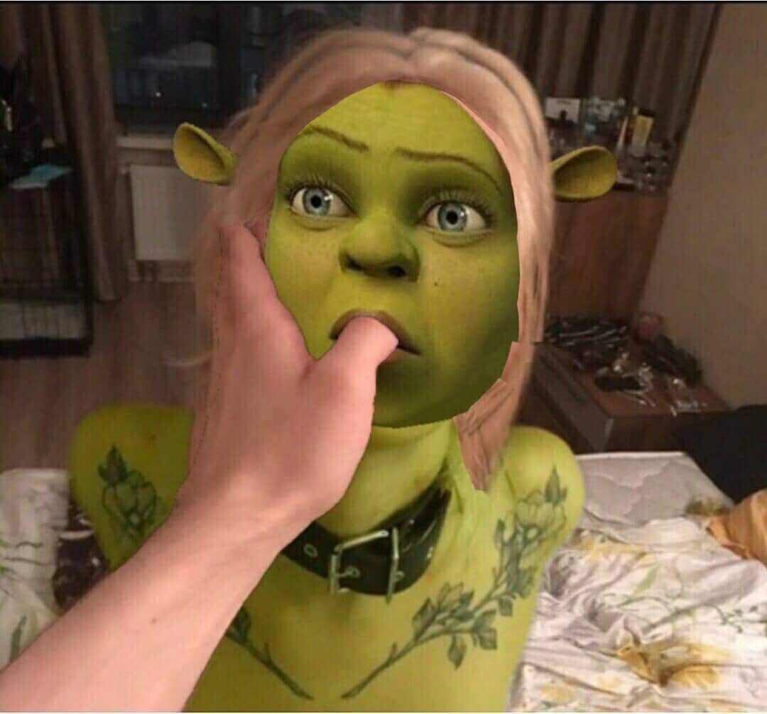 Фиона ЖМЫХНУТАЯ