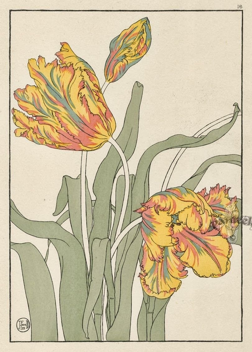 Ботанические растения Jeannie Foord