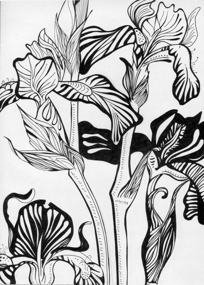 Стилизация растений Грэхем Лесли