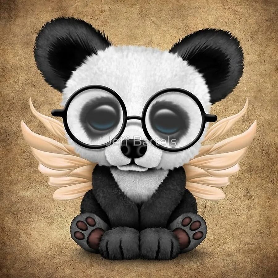 Кошка в кепке