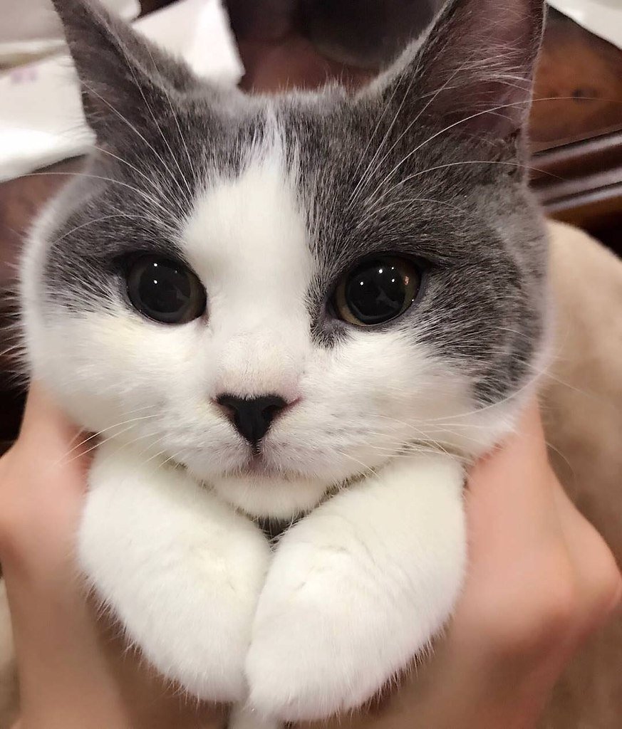 Патрик с ногтями и ресницами