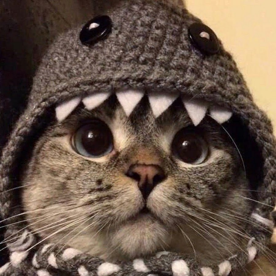 Топовые сохры 2020 девушка