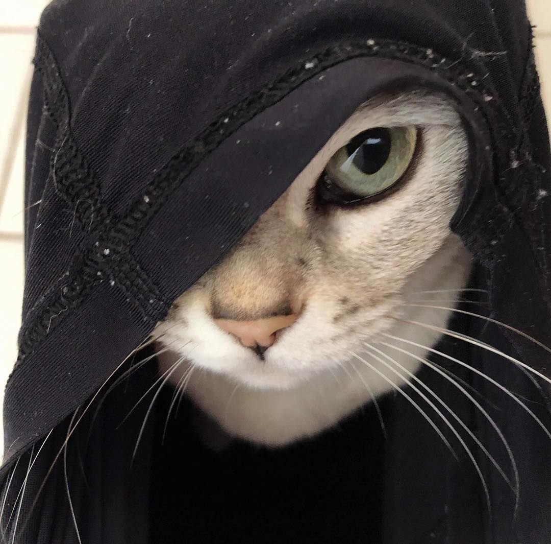 Инстасамка карандашом для срисовки