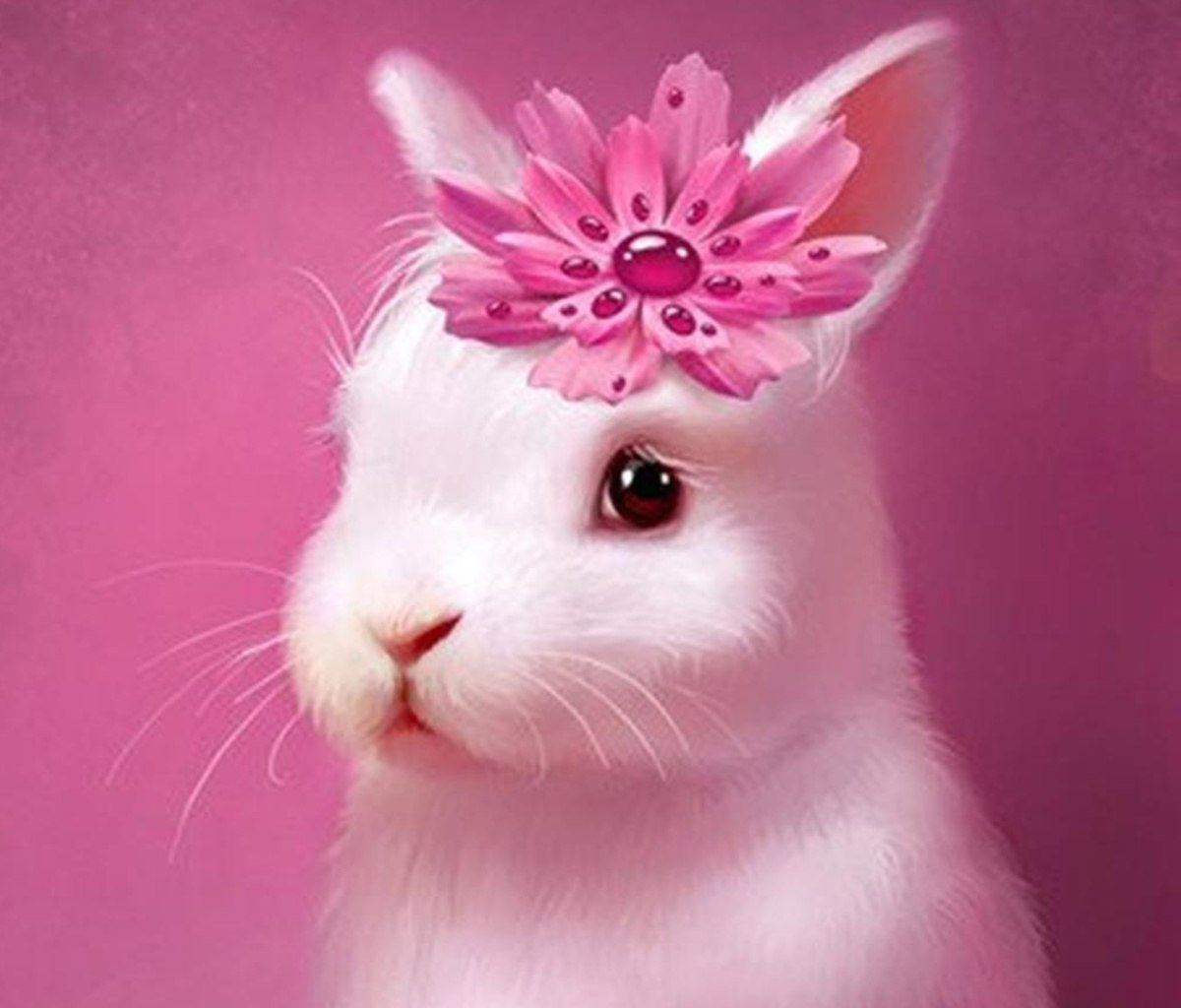 Аватарка зайца