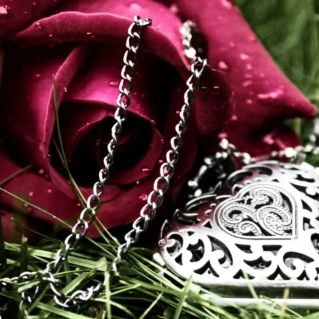 Цветы розы исламский