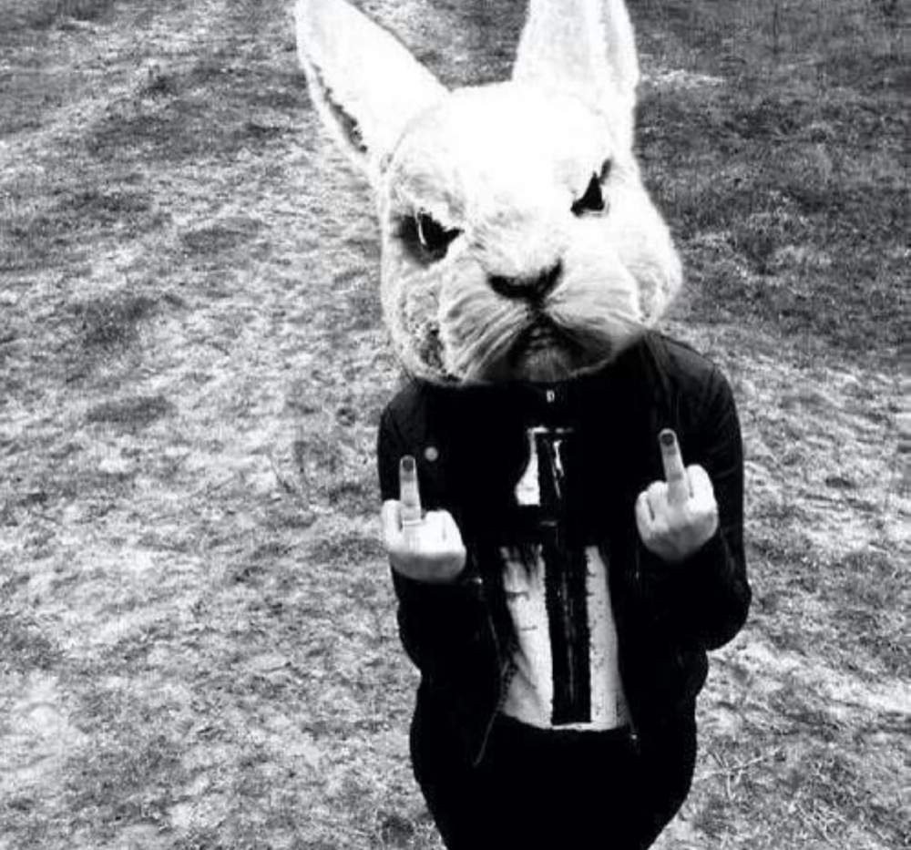 Человек с головой кролика