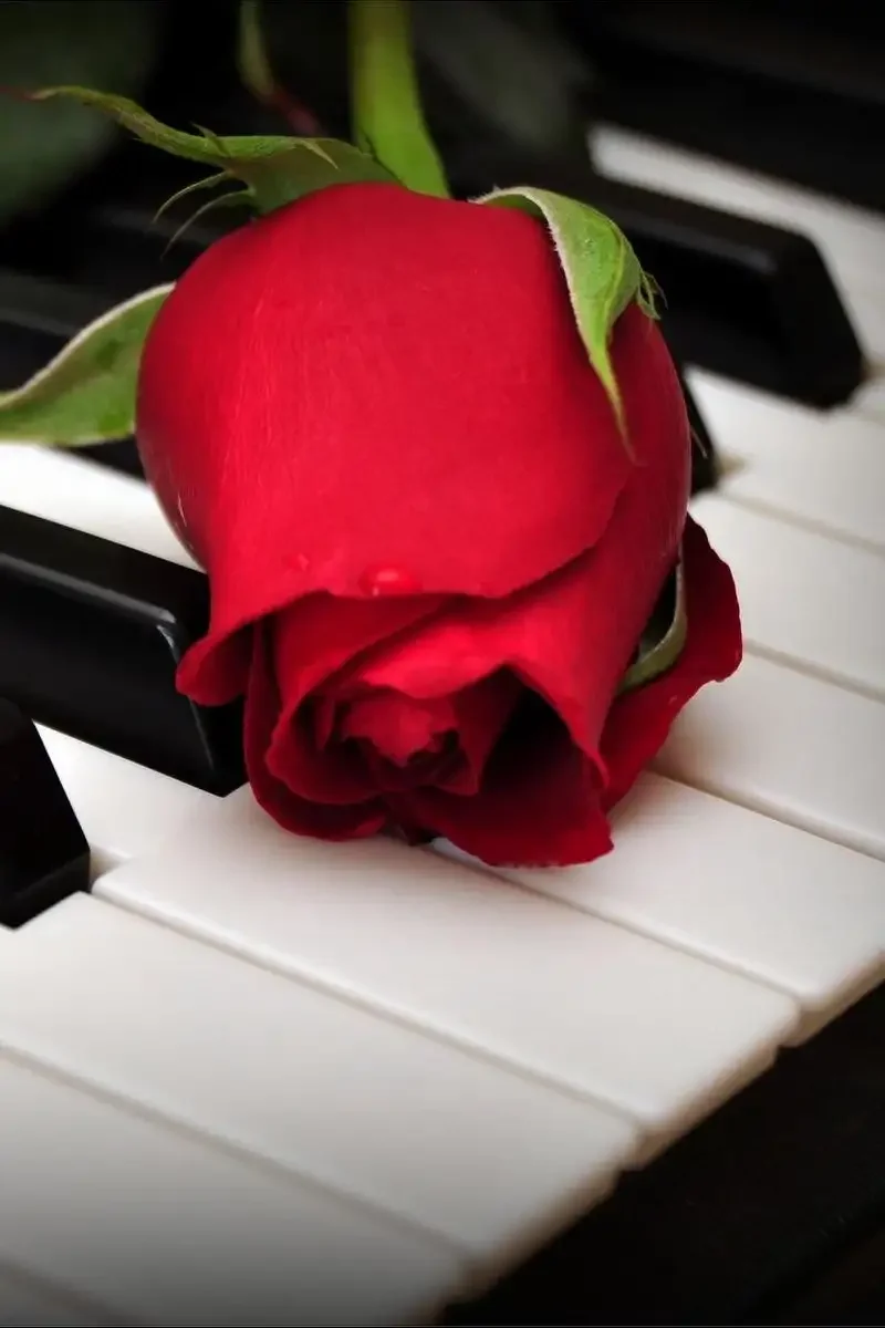 Рояль с цветами