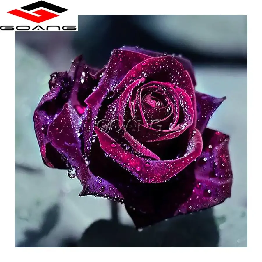 Темно фиолетовые розы