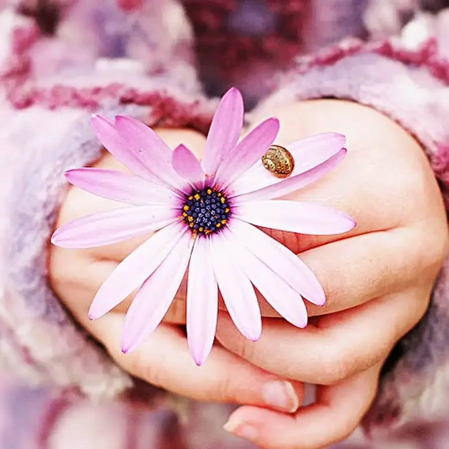 Картинки на аватарку цветы