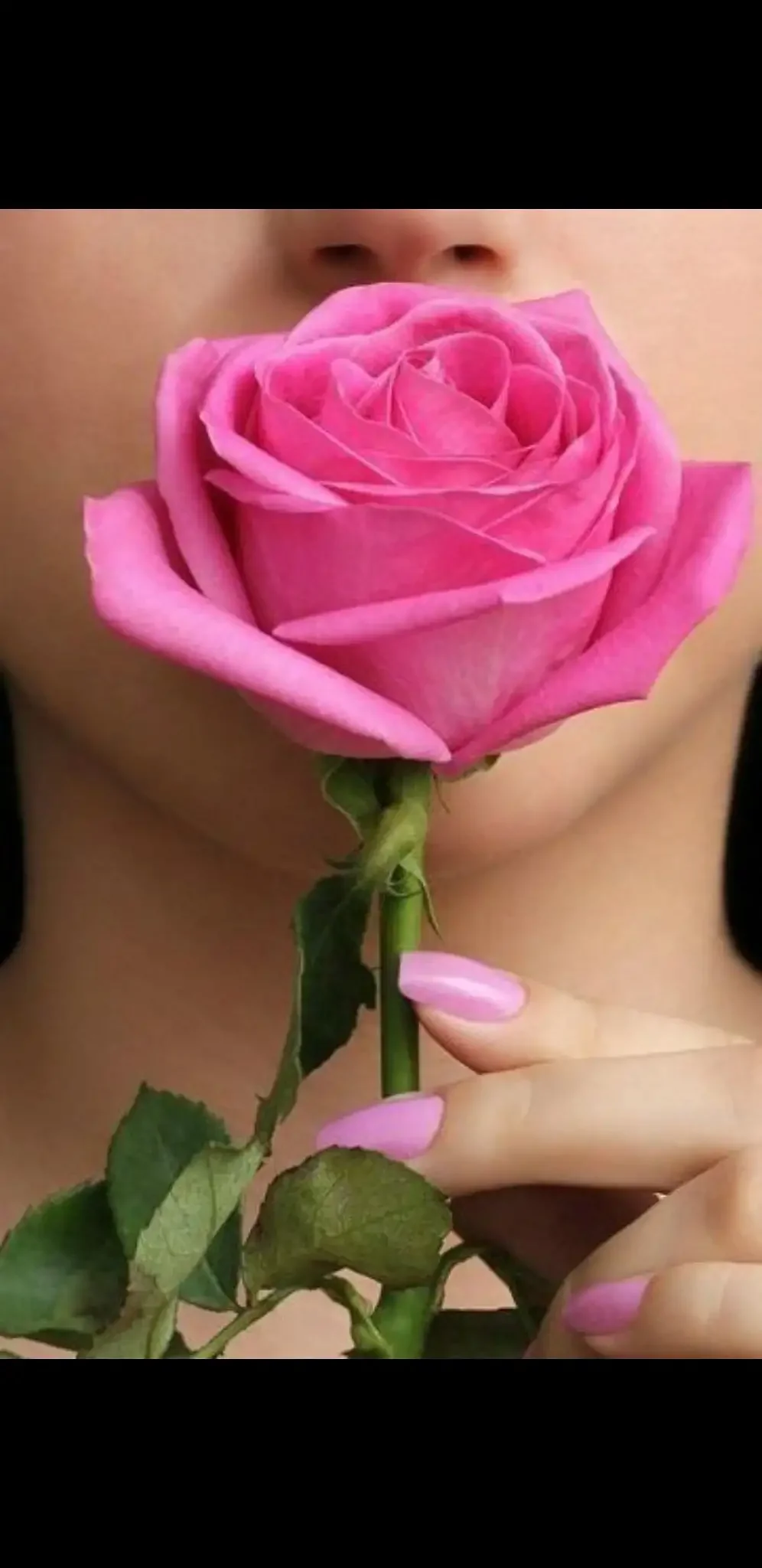 Девушка с розой в руках