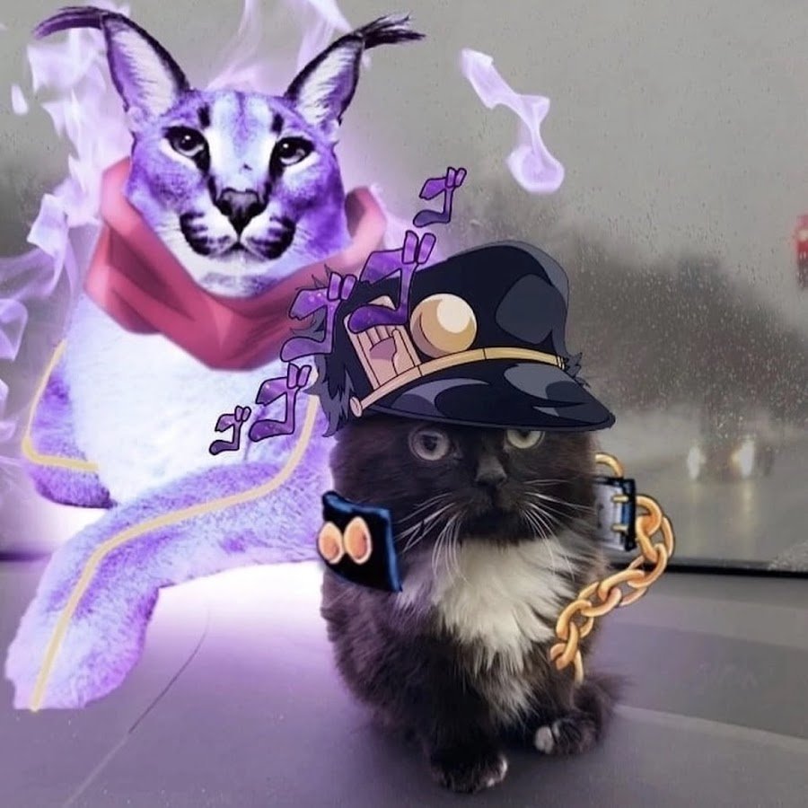 Котенок гуль