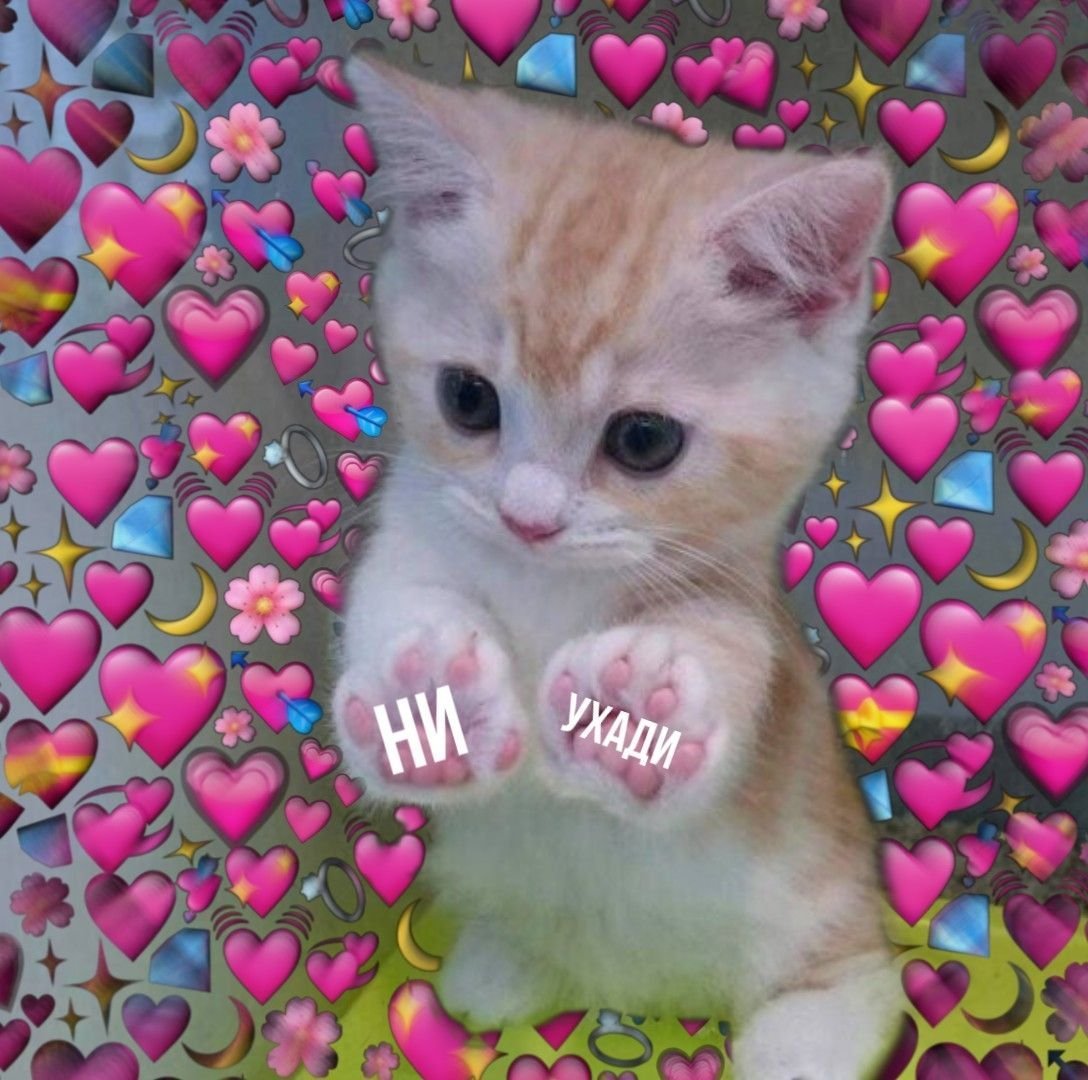 Соня Колосова