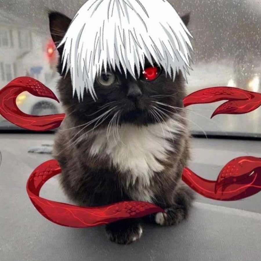 Чмоня котенок Dota 2