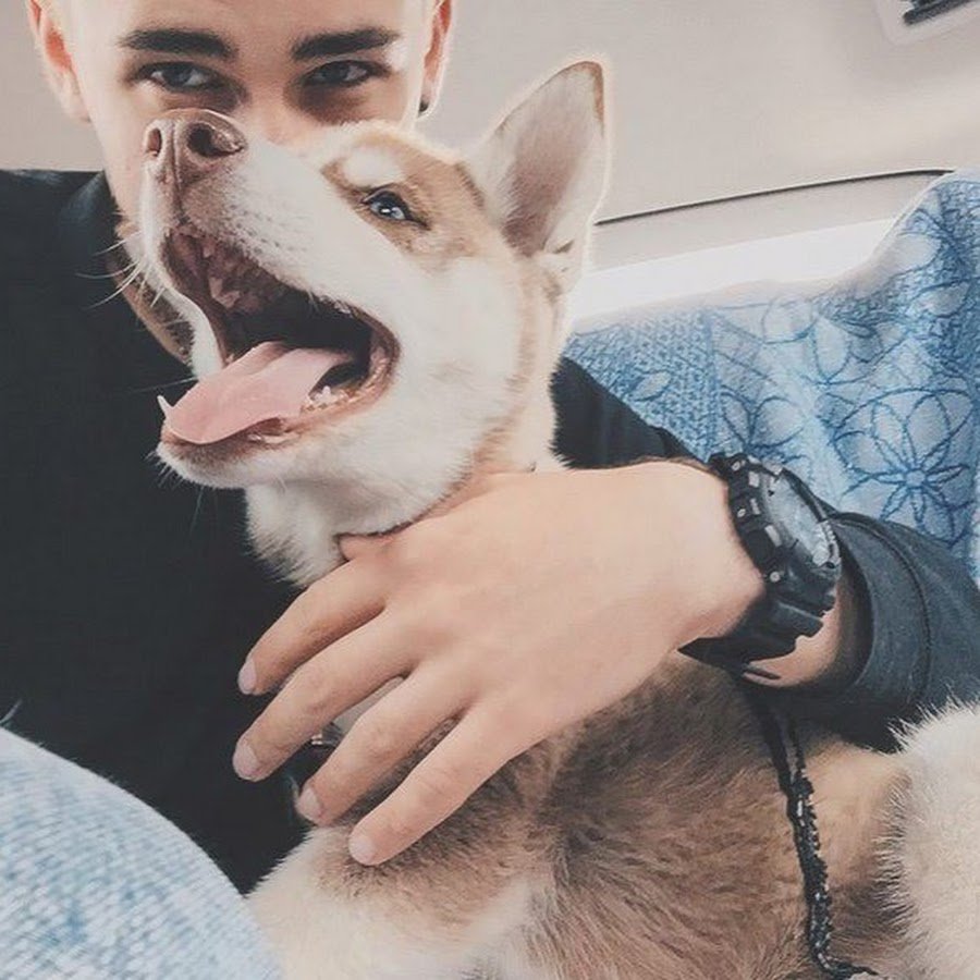 Аватарки чмони