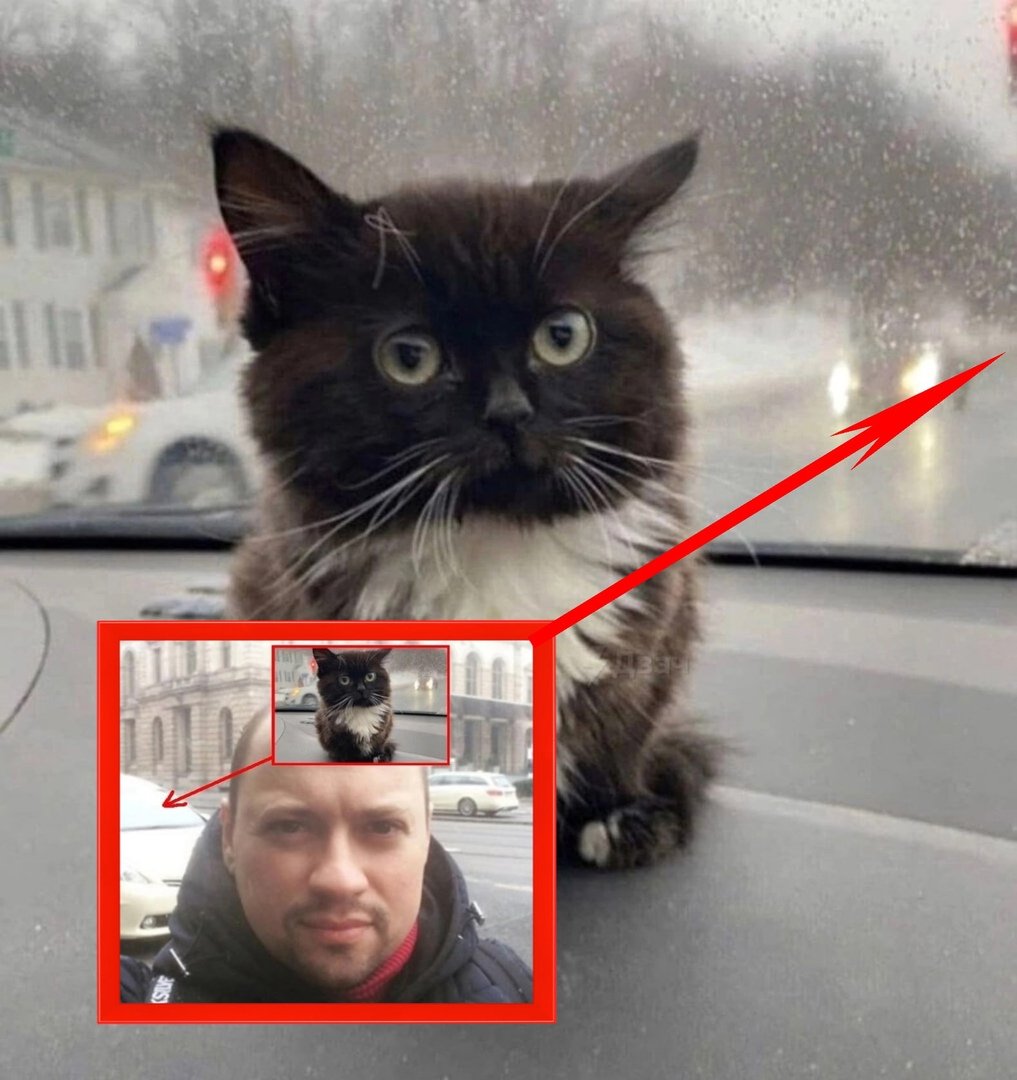 Аватарки чмони