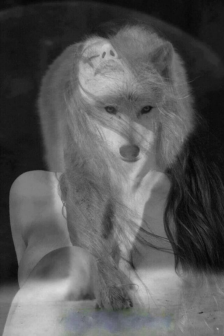 Красивые девушки волчицы