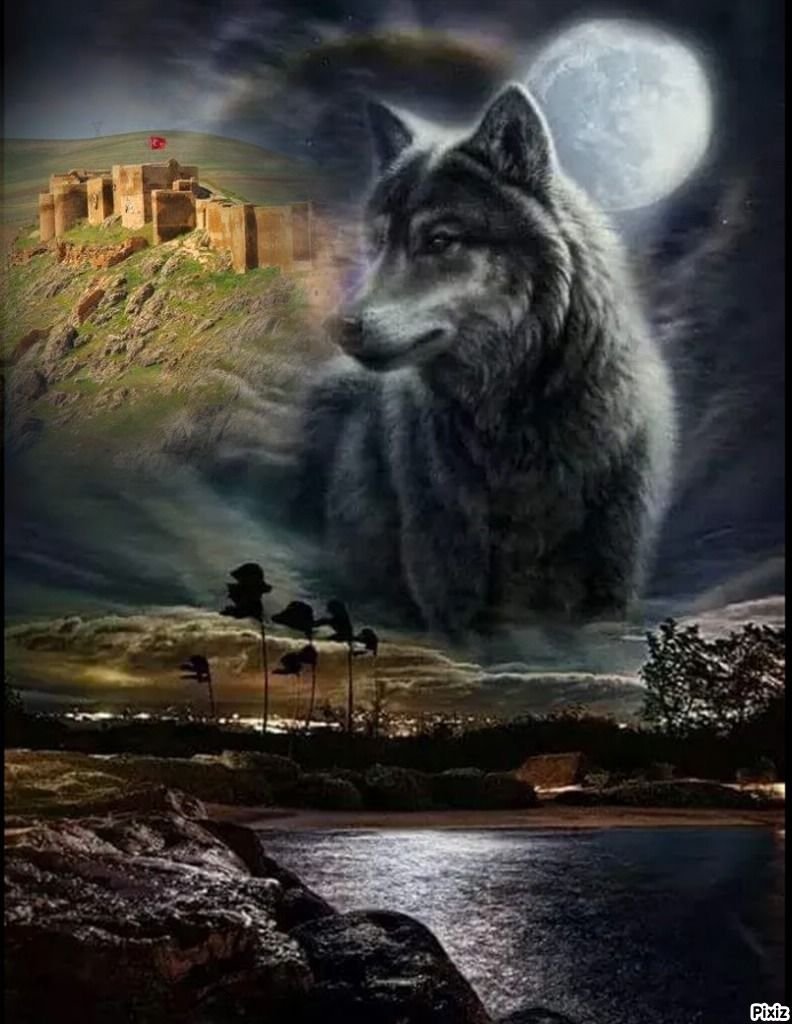 Грустный волк