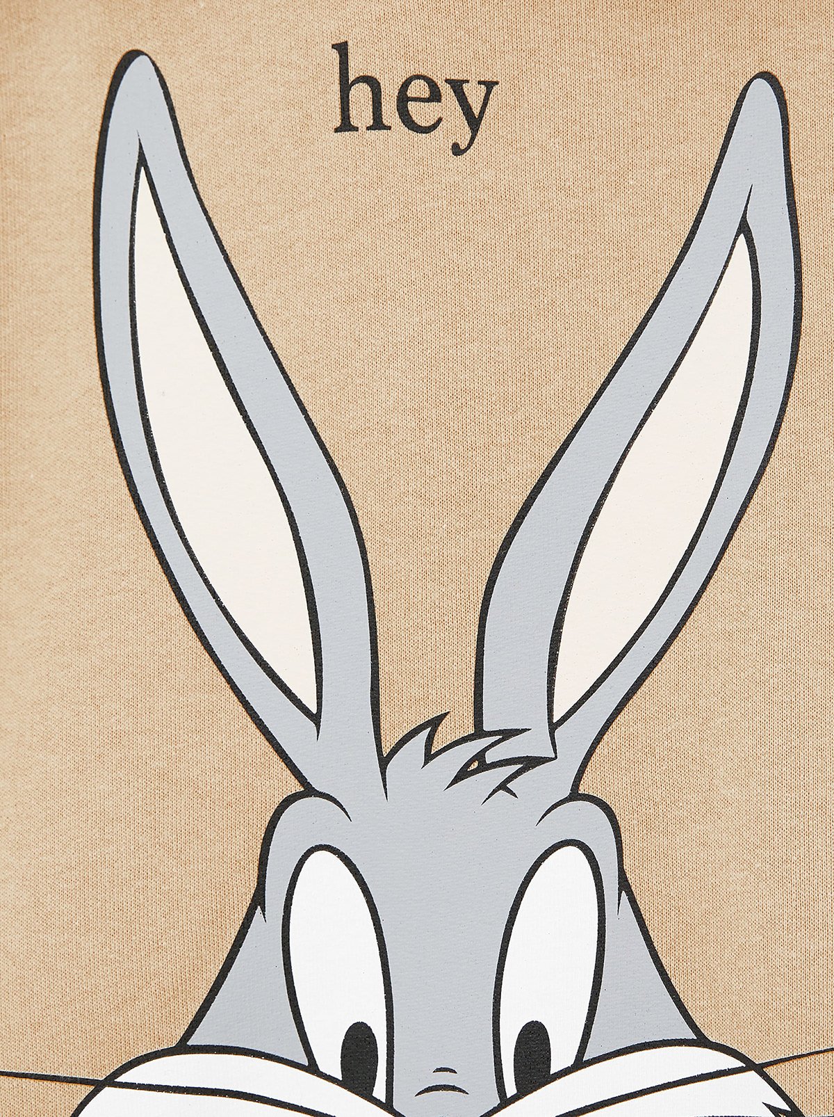 Багз Банни грязный заяц 18