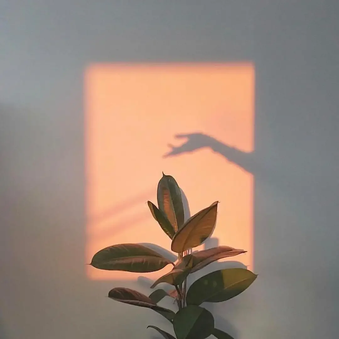 Парень на аву Эстетика