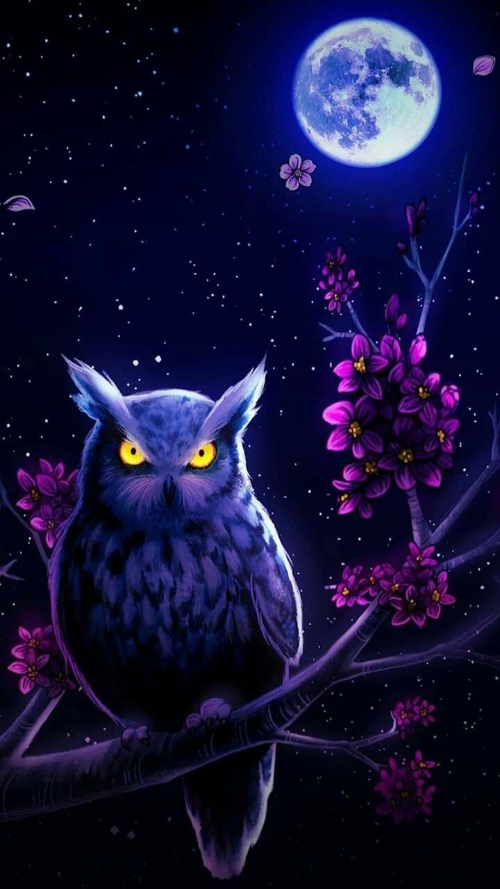 Ночная Сова.(Night Owl).1993