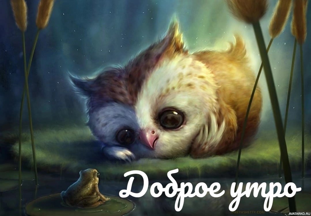 Милые арты животных