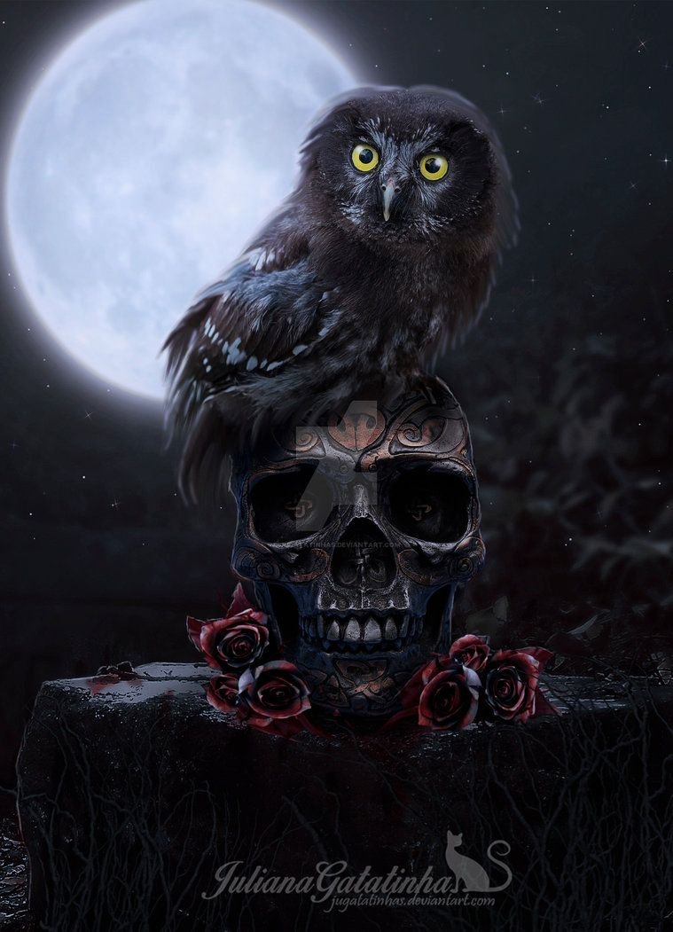 Мистическая Сова