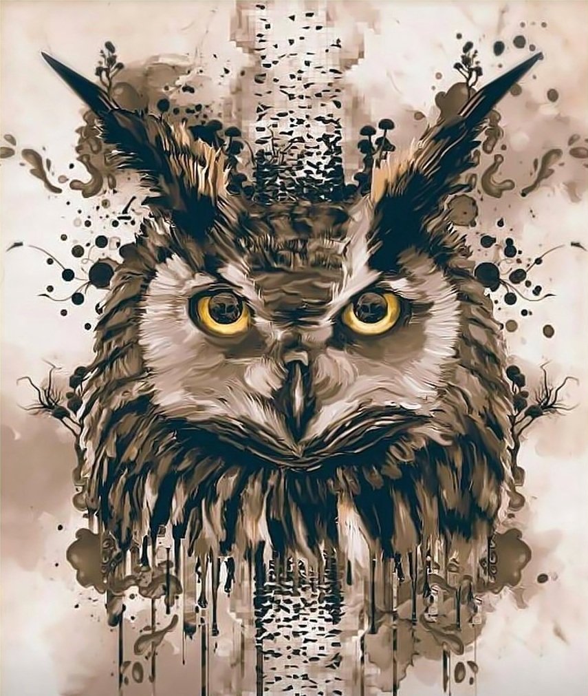 Сова арты