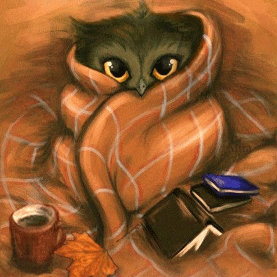 Сова с пледом