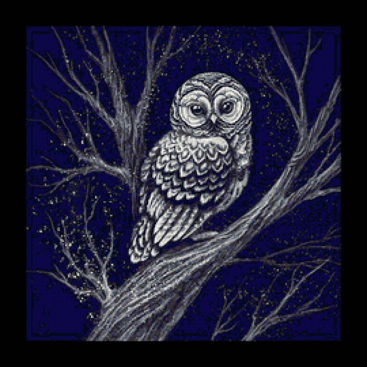 Граттаж Полярная Сова