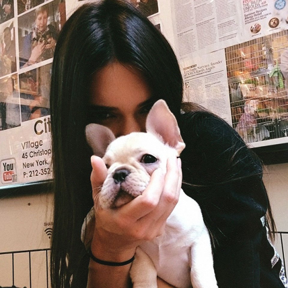 Брюнетка с собакой