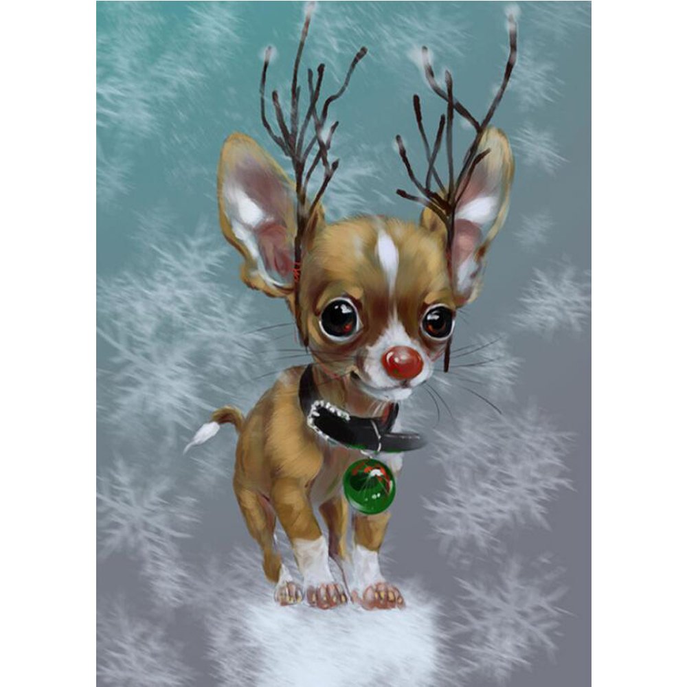 Чихуахуа новый год