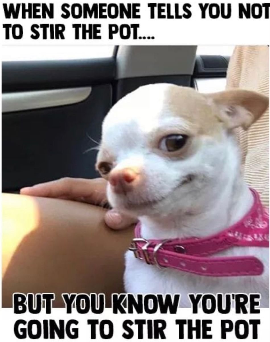 Чихуа Хуа с сопелькой