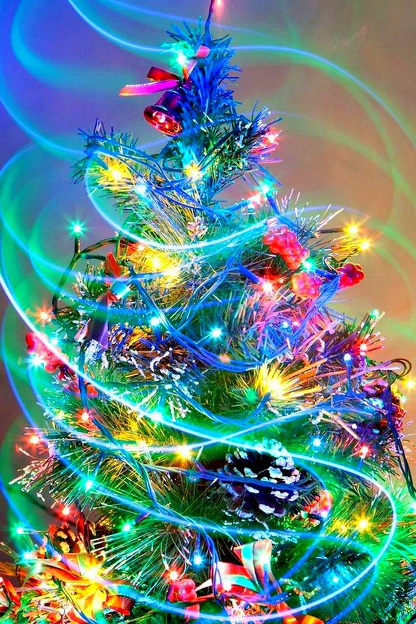 Лиа Селина (Linmida )