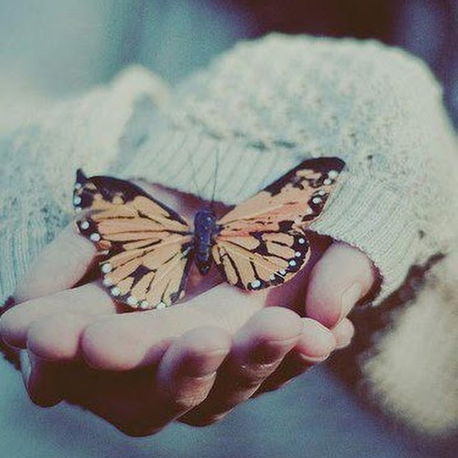 Мотылек на руке