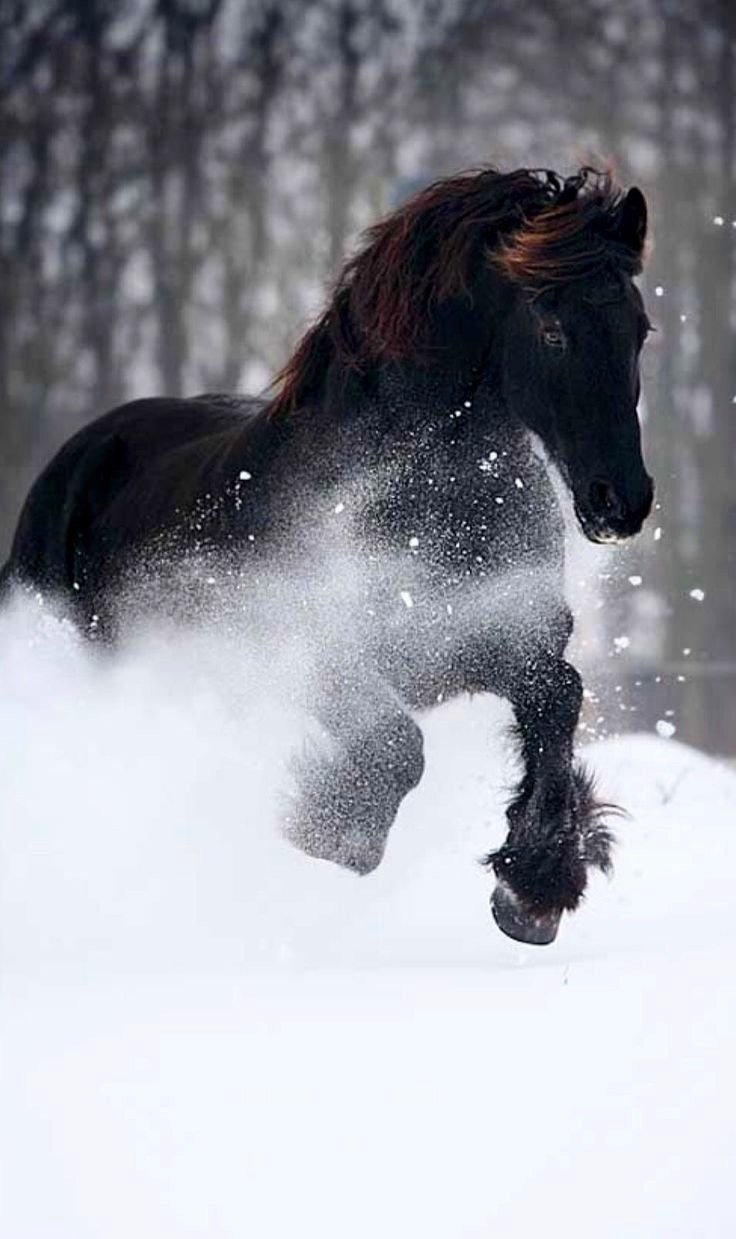 Портрет девушки с лошадью