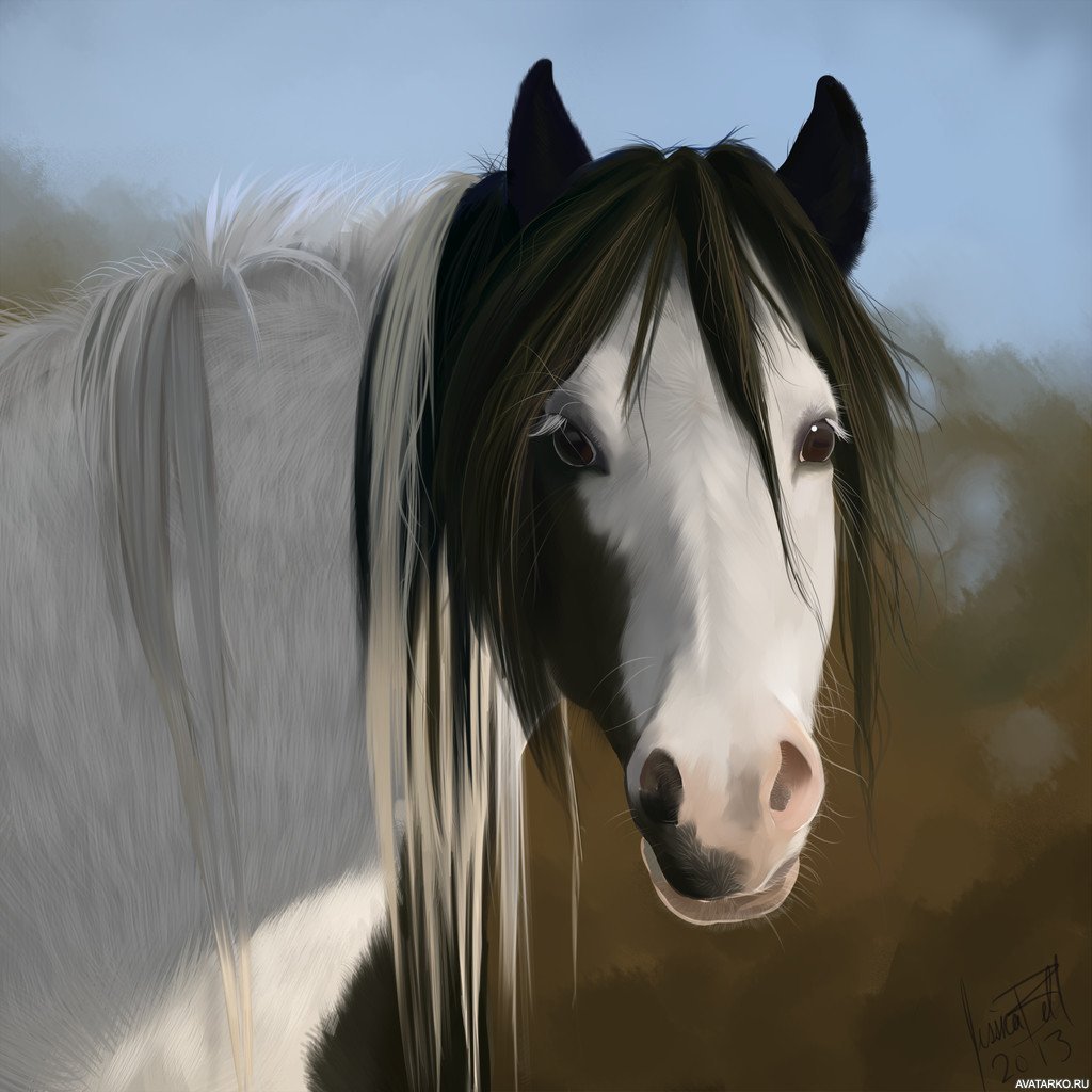 Красивое фото лошади на аватарку