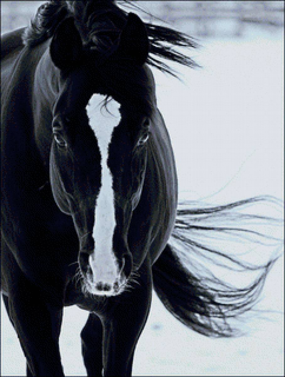 Красивые лошади на дыбах