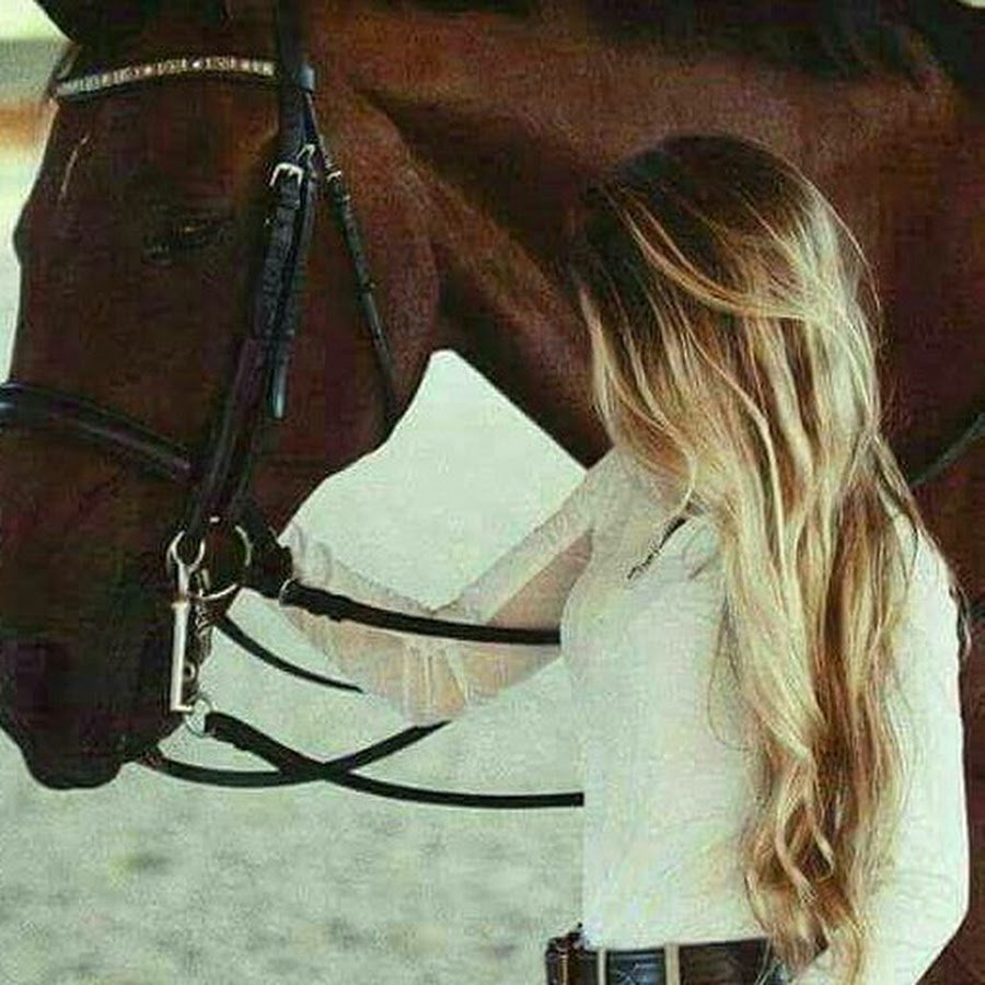 Черная лошадь на закате