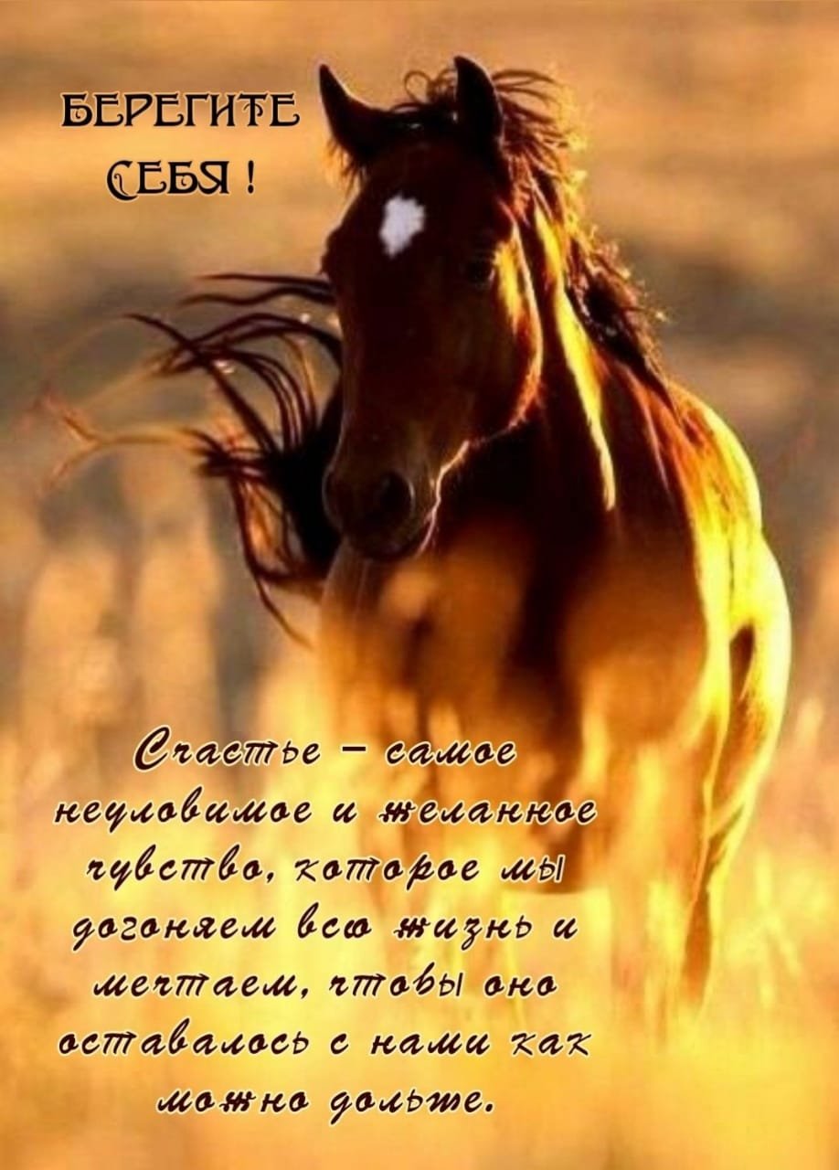 Девушка на лошади без лица