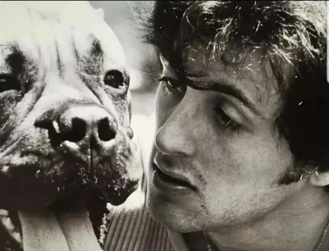 Сильвестр Сталлоне и его пес