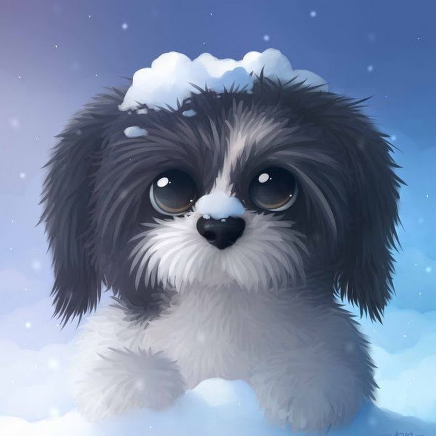 Милые аватарки собачки