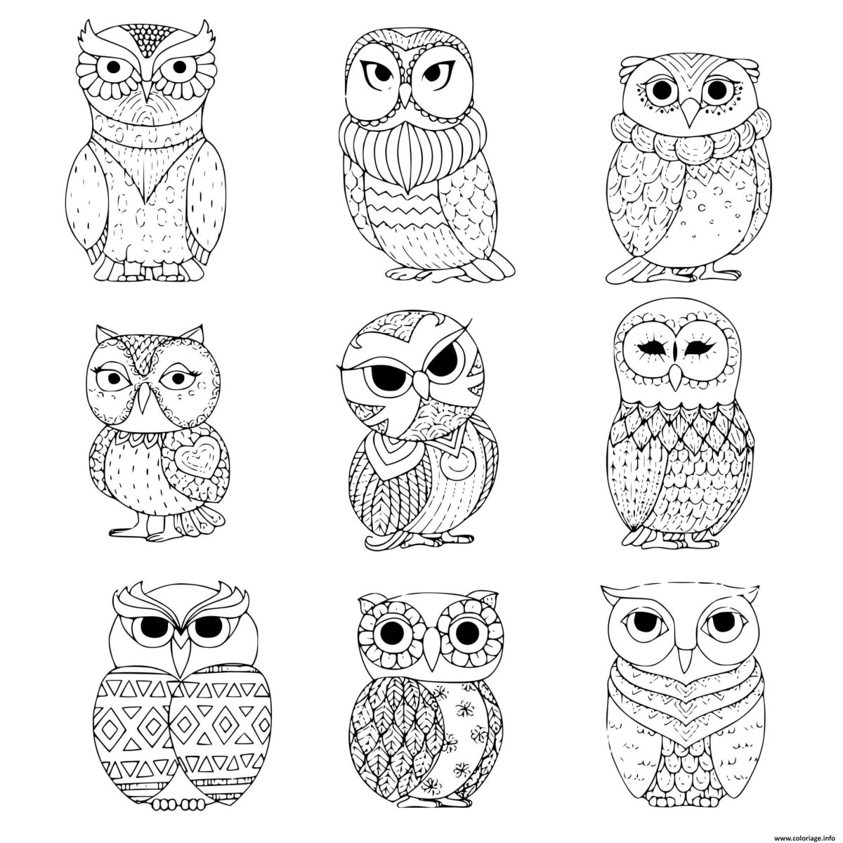 Раскраски Совушки маленькие