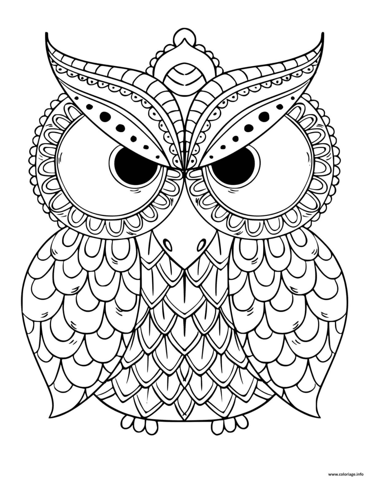 Раскраска Филина